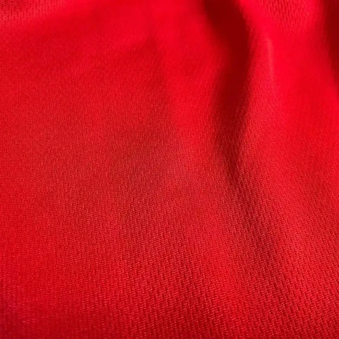 Bird Eye Knitted Fabric For Sportswear Cloth Free Sample