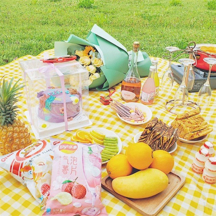 washable picnic blanket