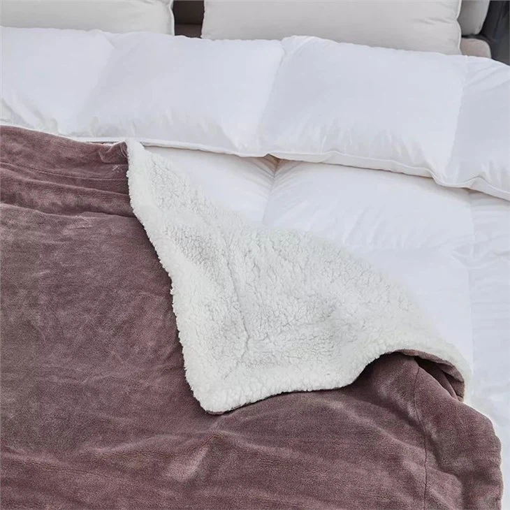 Sherpa Throw Blanket Free Sample